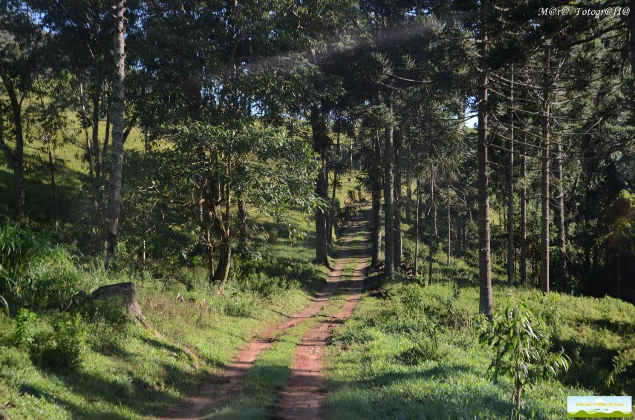 Pousada Trilha Do Ouro Alagoa Mg 外观 照片